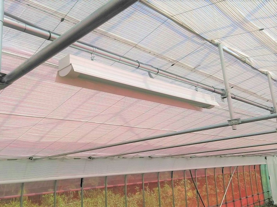 【園芸温室】多肉植物用ビニールハウス(50.2坪)|埼玉県の施工実績