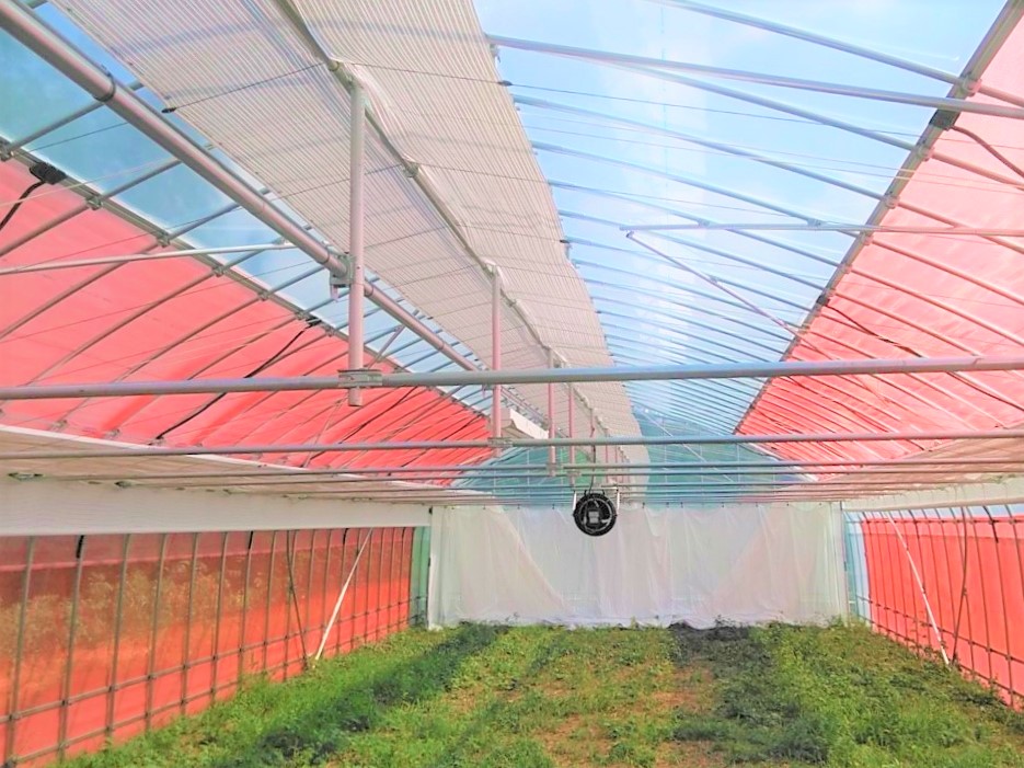 【園芸温室】多肉植物用ビニールハウス(50.2坪)|埼玉県の施工実績