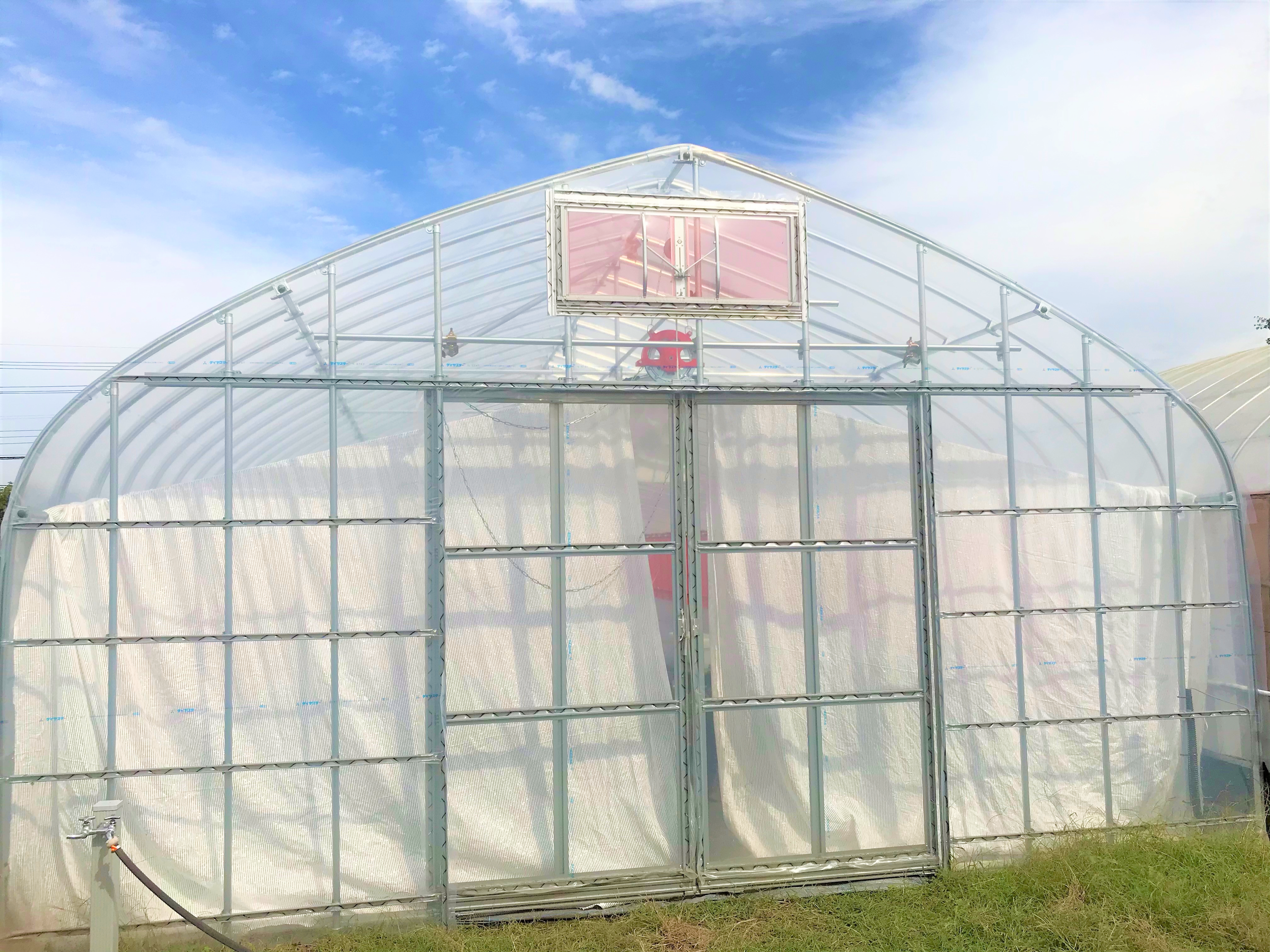 【棚付き】いちご育苗用ビニールハウス(55坪)|千葉県の施工実績