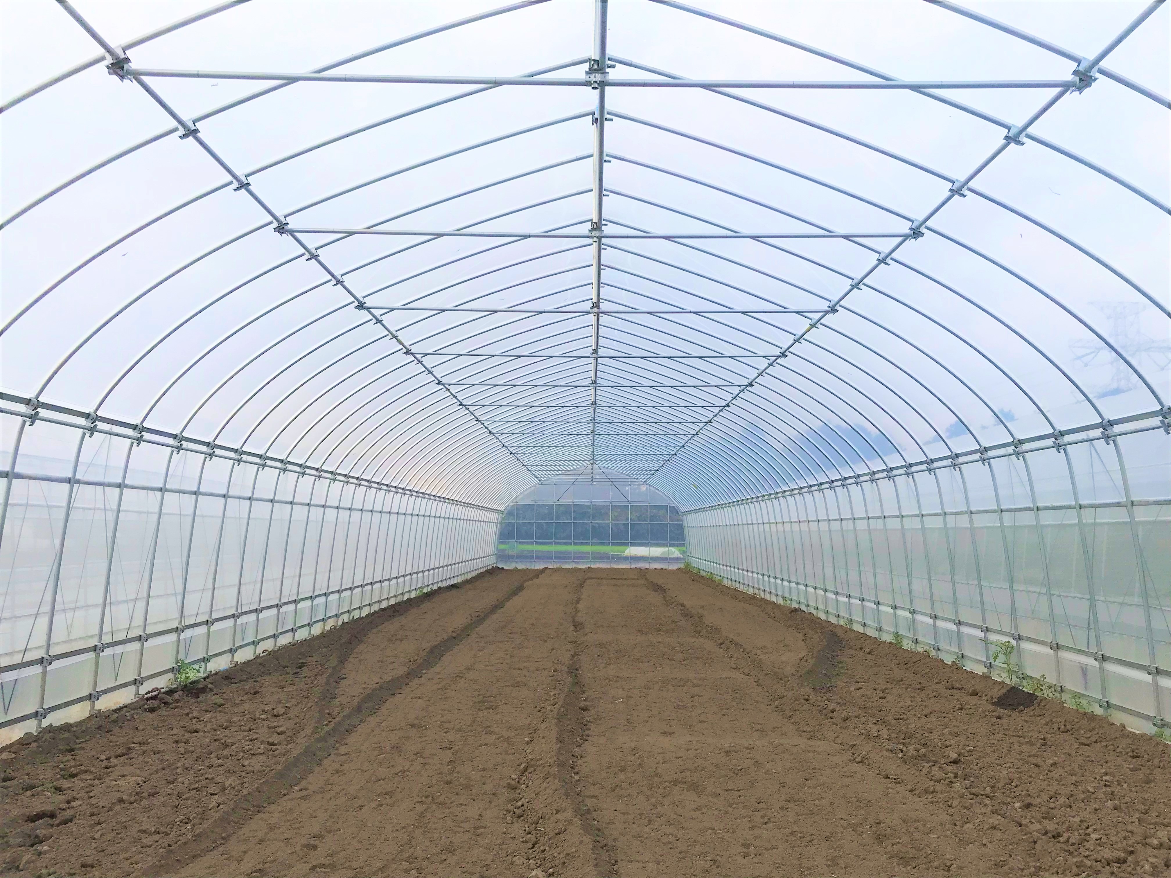 【間口5.4m】野菜栽培用ビニールハウス（90坪）|茨城県の施工実績