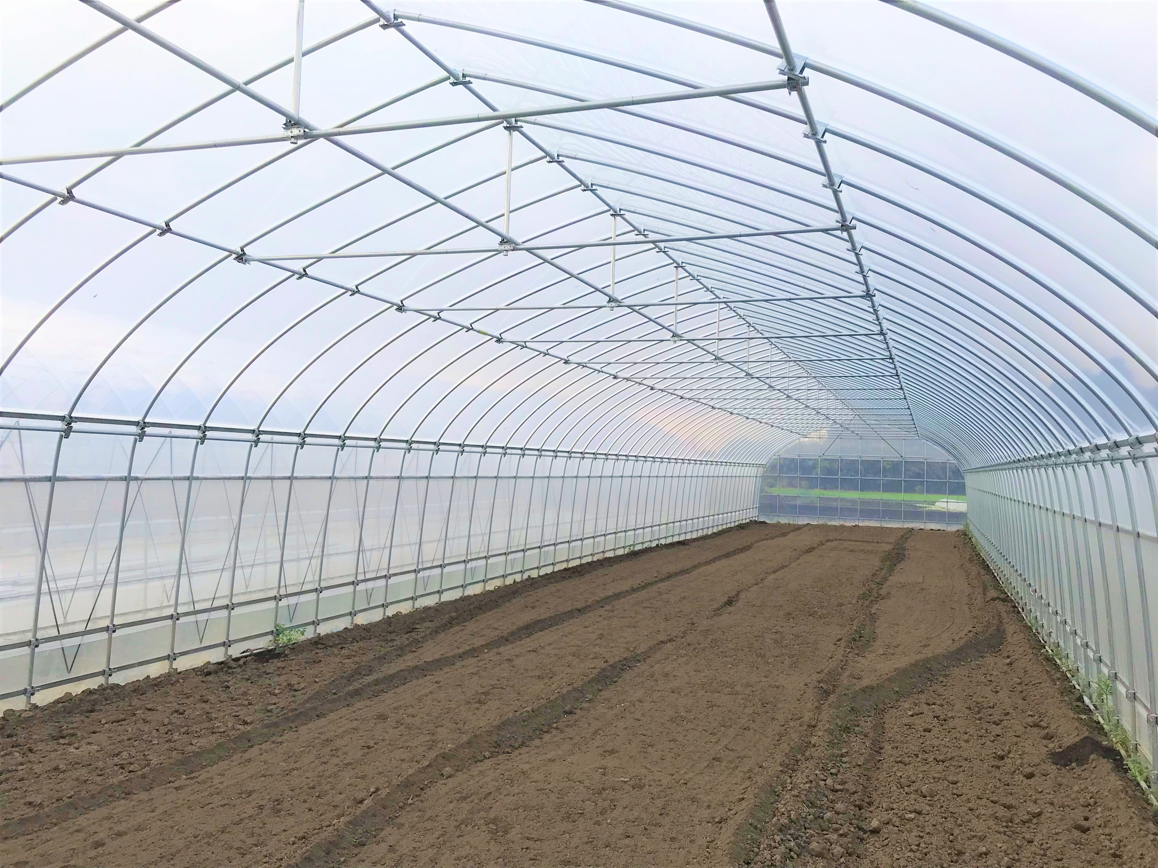 【間口5.4m】野菜栽培用ビニールハウス（90坪）|茨城県の施工実績