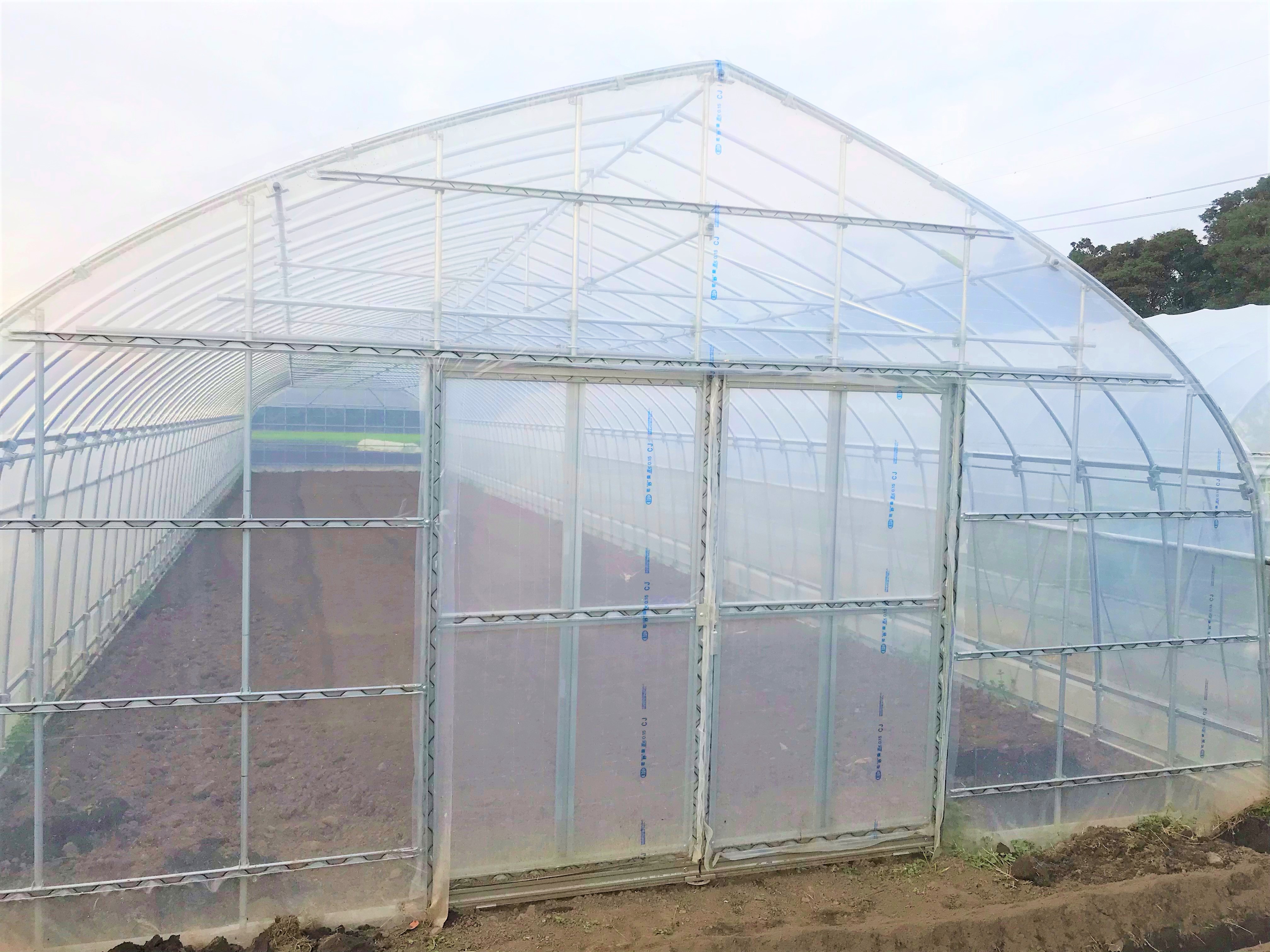 【間口5.4m】野菜栽培用ビニールハウス（90坪）|茨城県の施工実績