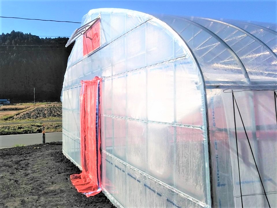 【間口7m】野菜栽培用ビニールハウス（70坪)|茨城県の施工実績