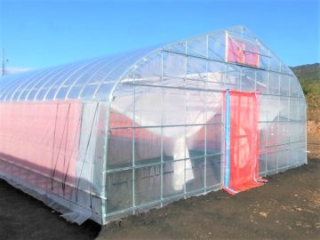(株)共走|茨城県の施工実績|【間口7m】野菜栽培用ビニールハウス（70坪)の画像
