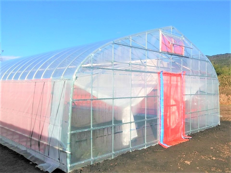 【間口7m】野菜栽培用ビニールハウス（70坪)|茨城県の施工実績