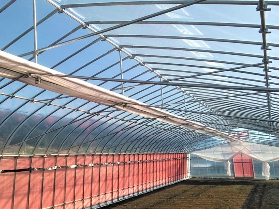【ハウス栽培】野菜用ビニールハウス(74坪)|茨城県の施工実績