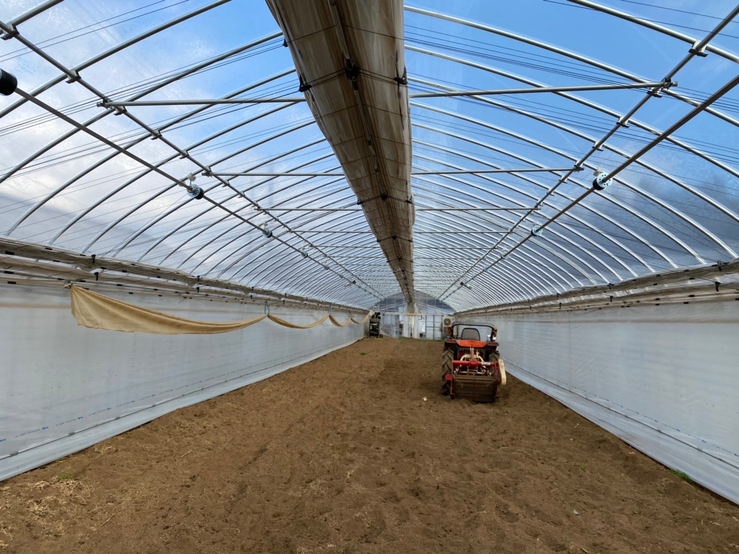 【間口7.3m】ユリ栽培用パイプハウス（96坪）|千葉県佐倉市の施工実績
