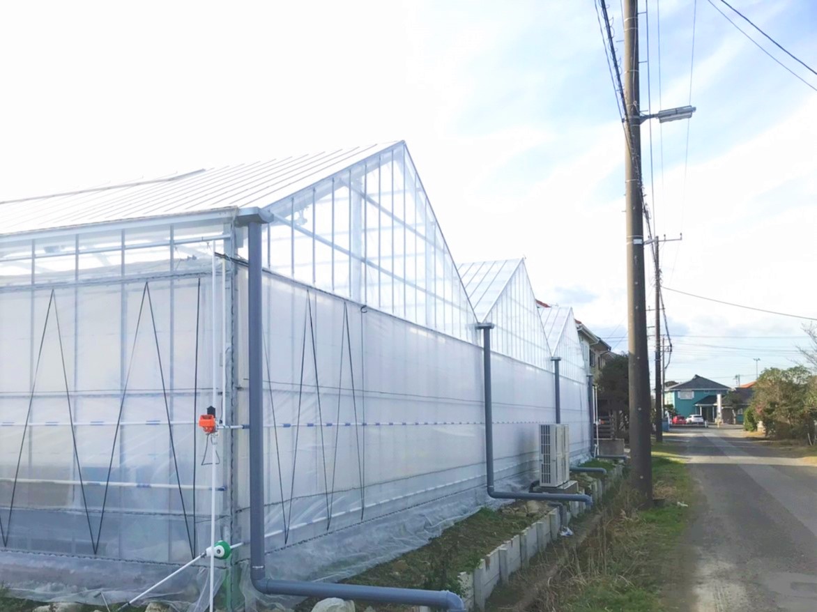 ベビーリーフ用鉄骨ハウス|千葉県長生郡の施工実績