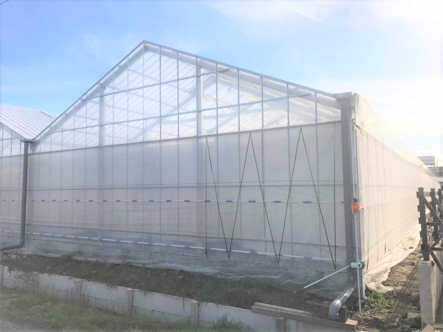 ベビーリーフ用鉄骨ハウス|千葉県長生郡の施工実績
