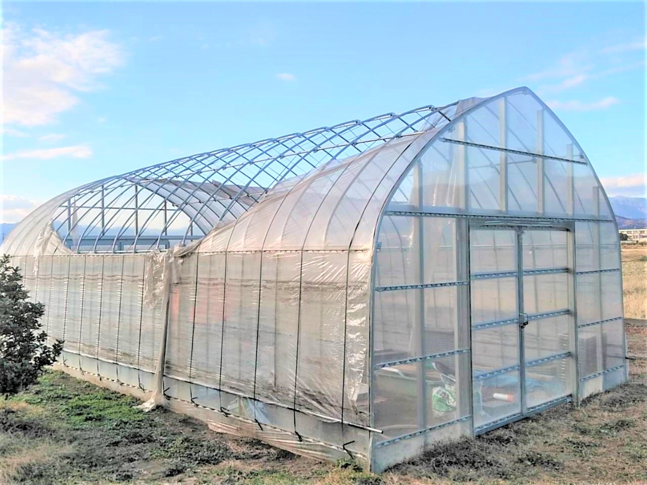 (株)共走|神奈川県小田原市の施工実績|【修繕】パイプハウス張り替え（11坪）
