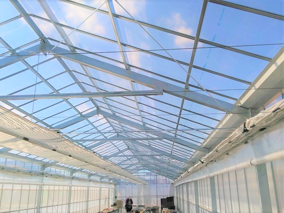 【ベンチ】園芸用鉄骨ハウス(多肉植物)(38坪)|茨城県那珂市の施工実績