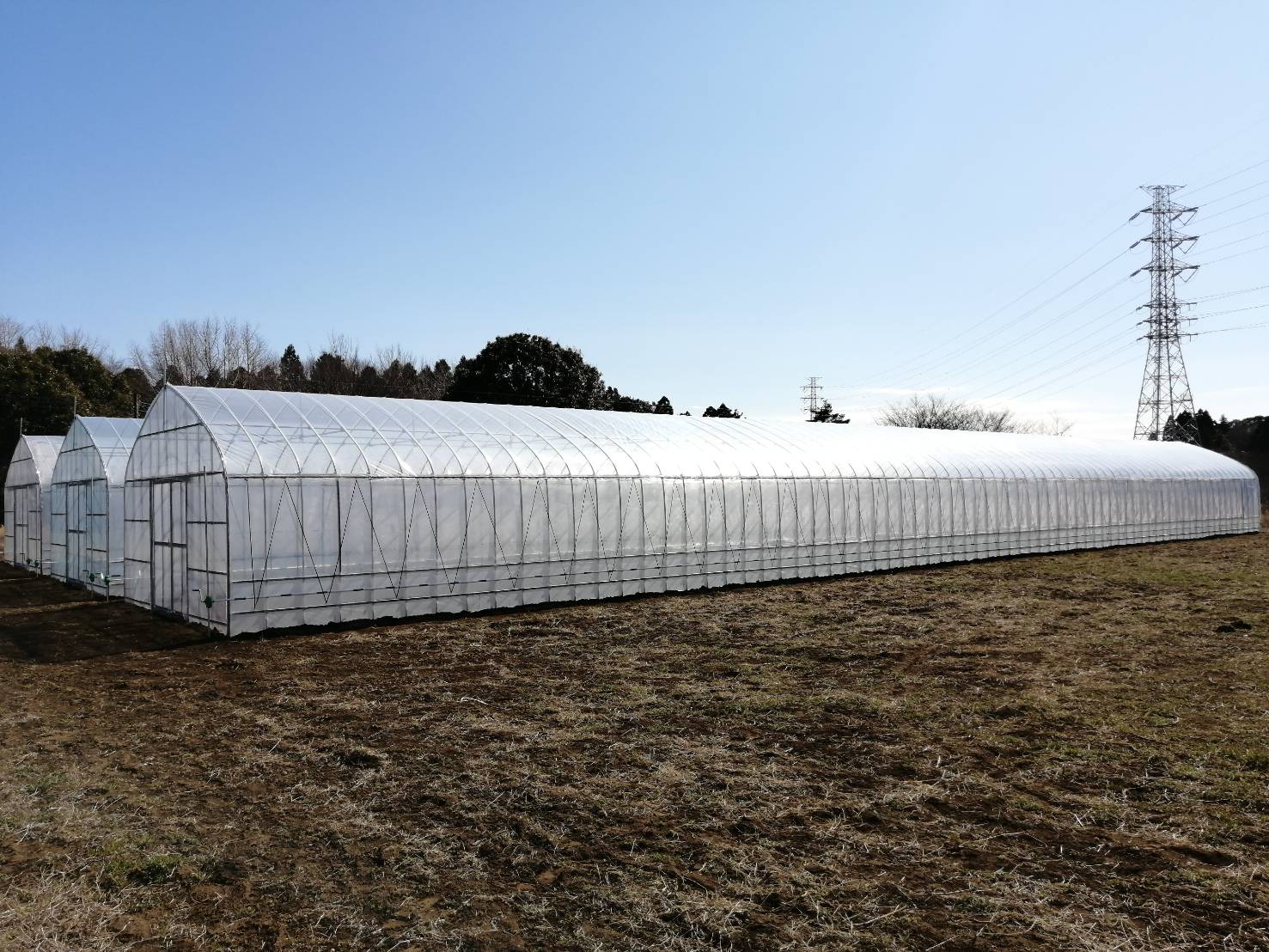 千葉県の農業用ビニールハウス施工事例|5.4m×36mの新設実績|共走