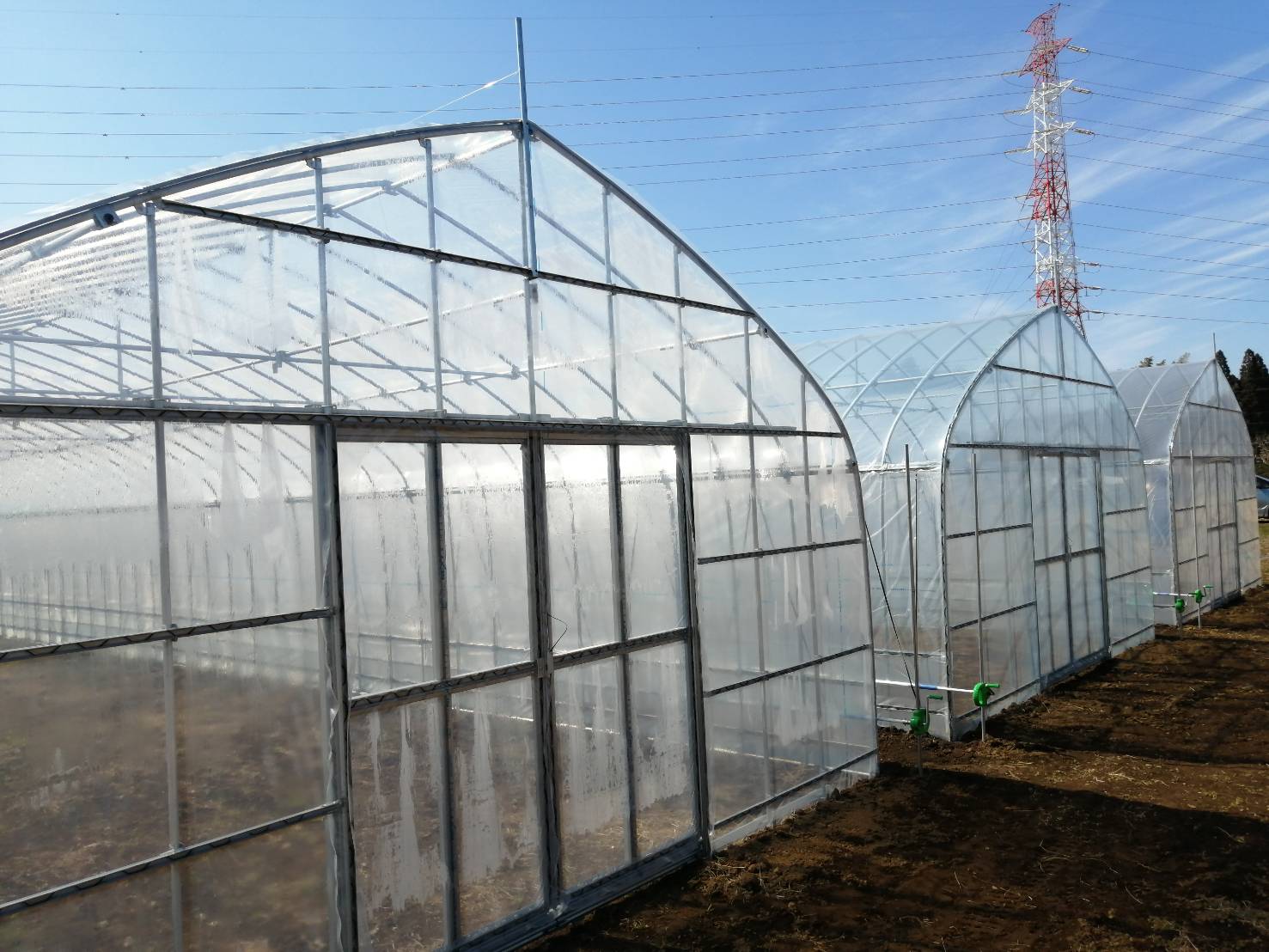 千葉県の農業用ビニールハウス施工事例｜5.4m×36mの新設実績｜共走