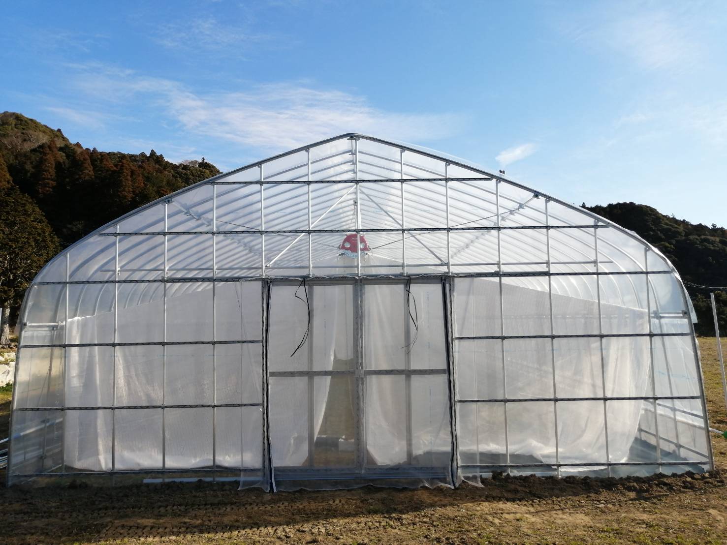 【カーテン付き】農業用パイプハウス（66坪）|千葉県の施工実績