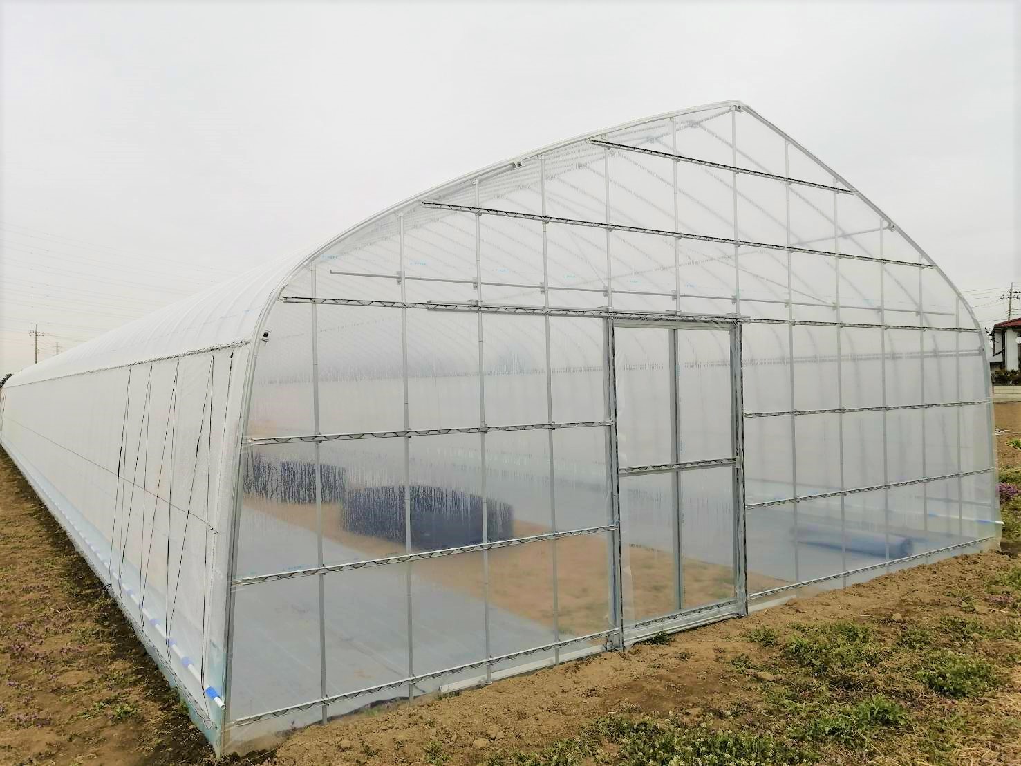 【多肉植物】園芸用パイプハウス（66坪)|埼玉県の施工実績集