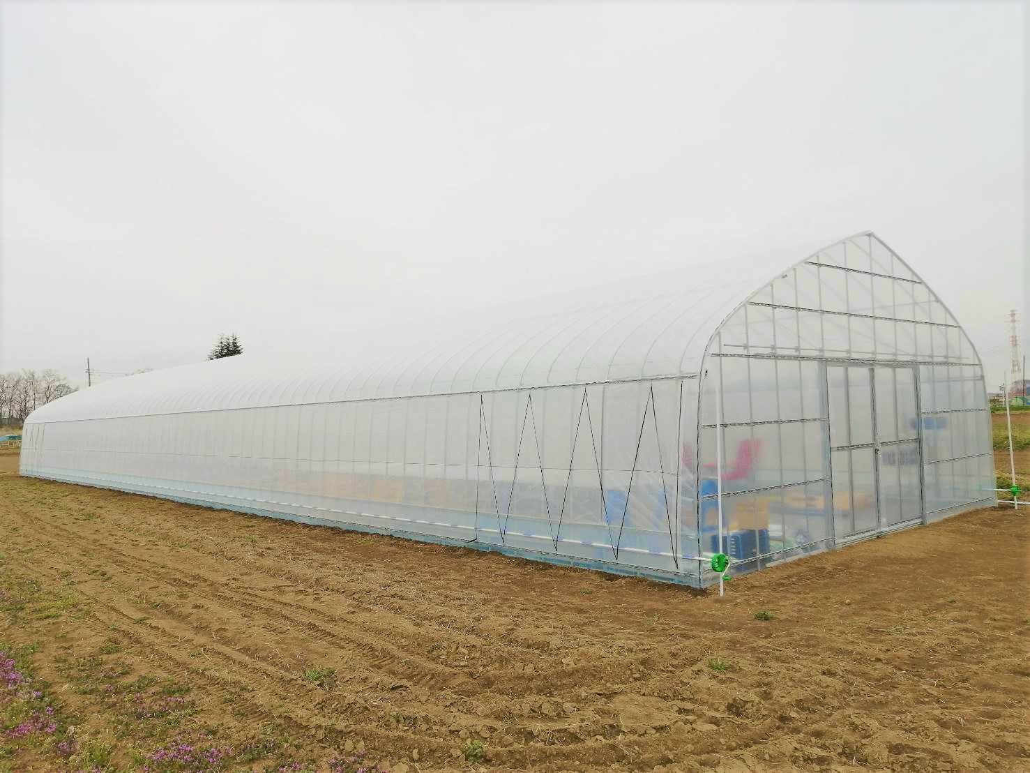 【多肉植物】園芸用パイプハウス（66坪)|埼玉県の施工実績集