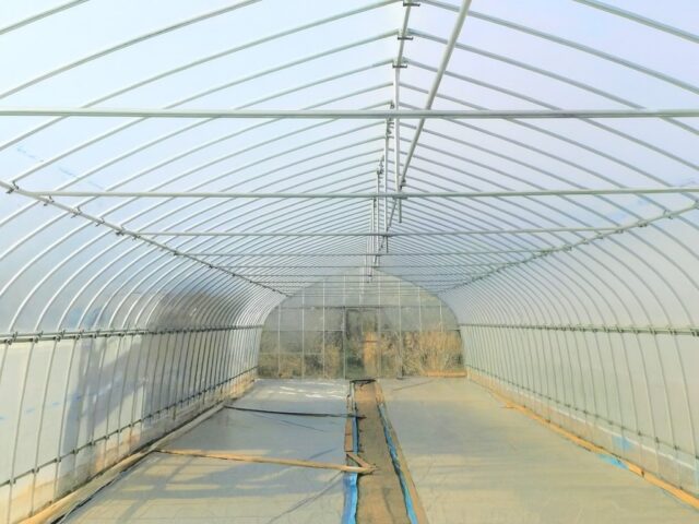 千葉県いすみ市のパイプハウスの内観写真