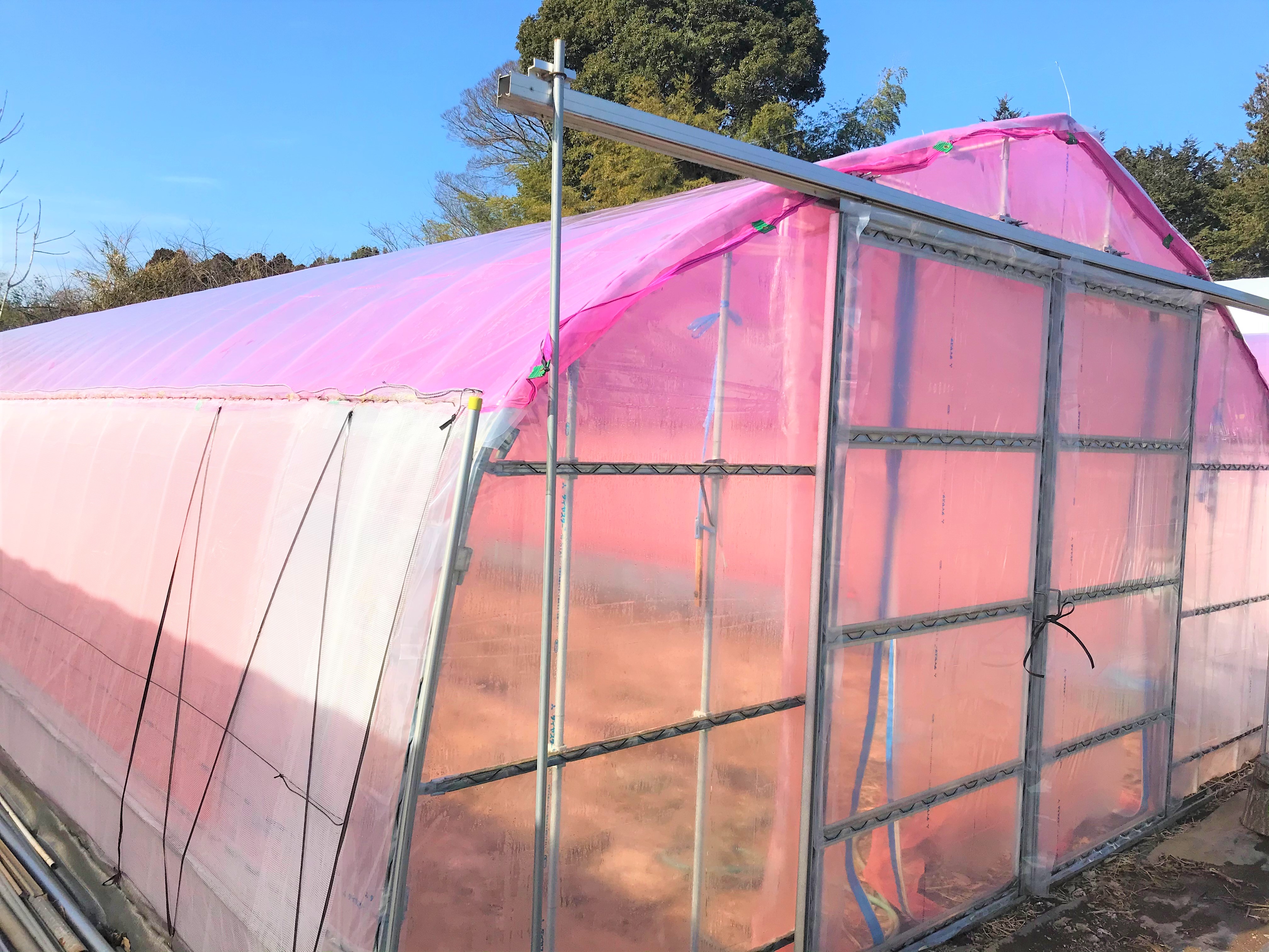 パイプハウス全面張替(調光ネット付) |茨城県の施工実績
