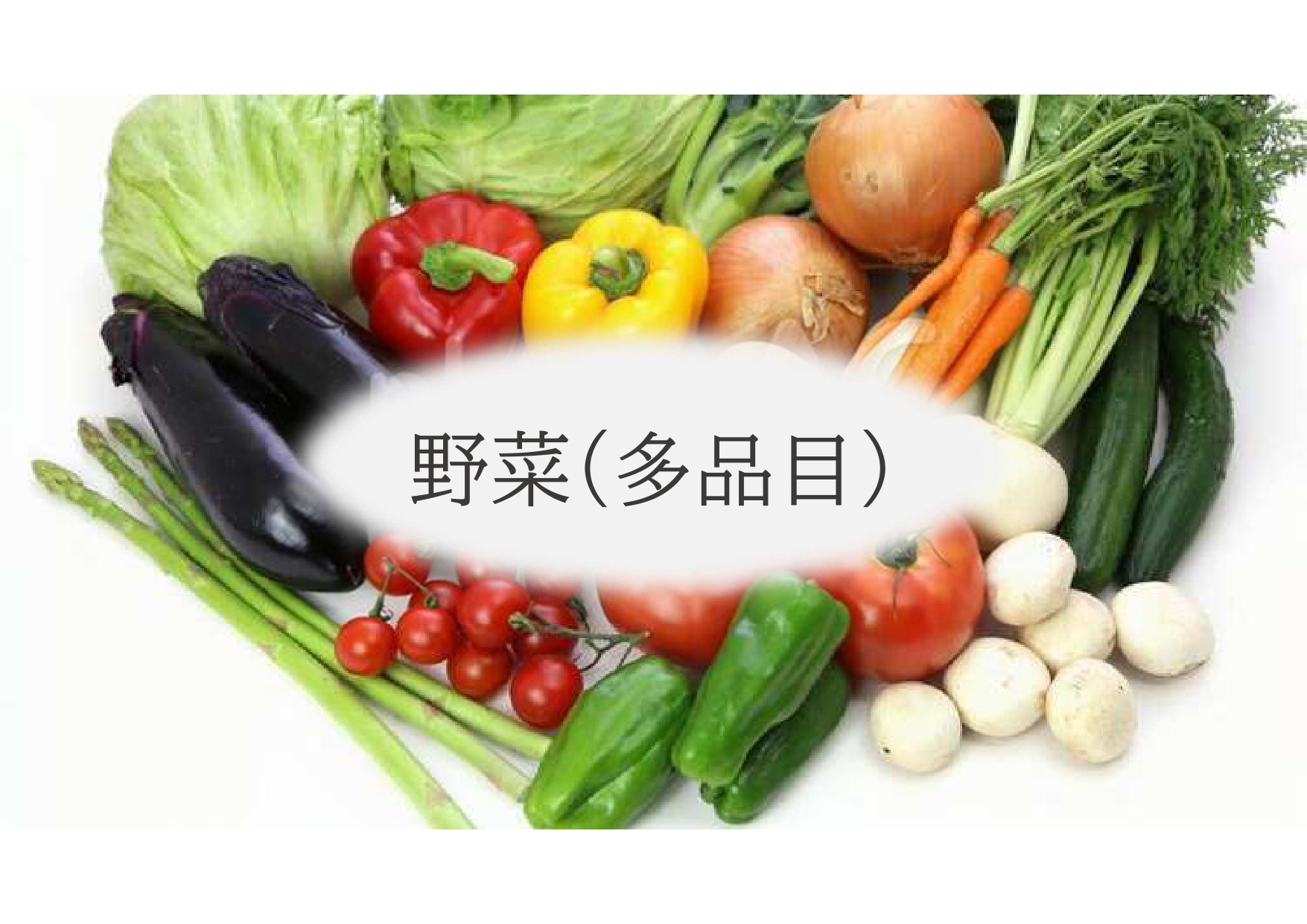 (株)共走|群馬県の施工実績|トマト用軽量鉄骨ハウス(829坪)