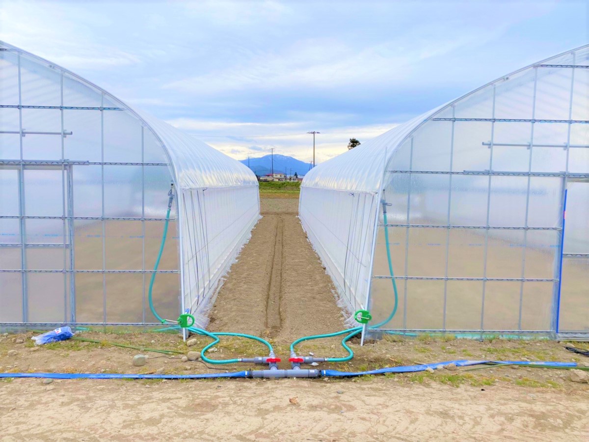 【間口7.2m】育苗用パイプハウス（87坪)|福島県会津若松市の施工実績