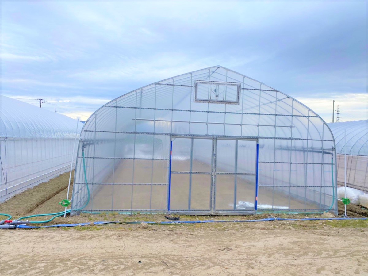 【間口7.2m】育苗用パイプハウス（87坪)|福島県会津若松市の施工実績