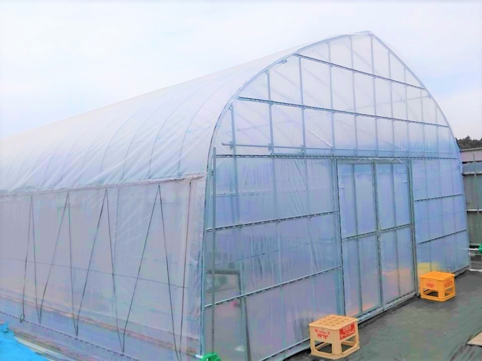 【果樹棚】ぶどう栽培用パイプハウス（47.7坪）|茨城県の施工実績