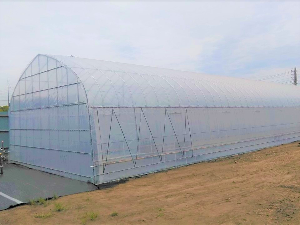 【果樹棚】ぶどう栽培用パイプハウス（47.7坪）|茨城県の施工実績