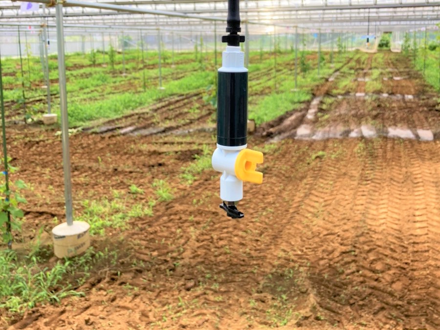 【ぶどう棚】果樹棚・雨よけハウス(716坪)|千葉県松戸市の施工実績