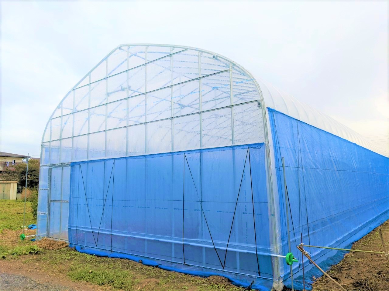 【温室】4間パイプハウス（48坪）)|東京都の施工実績