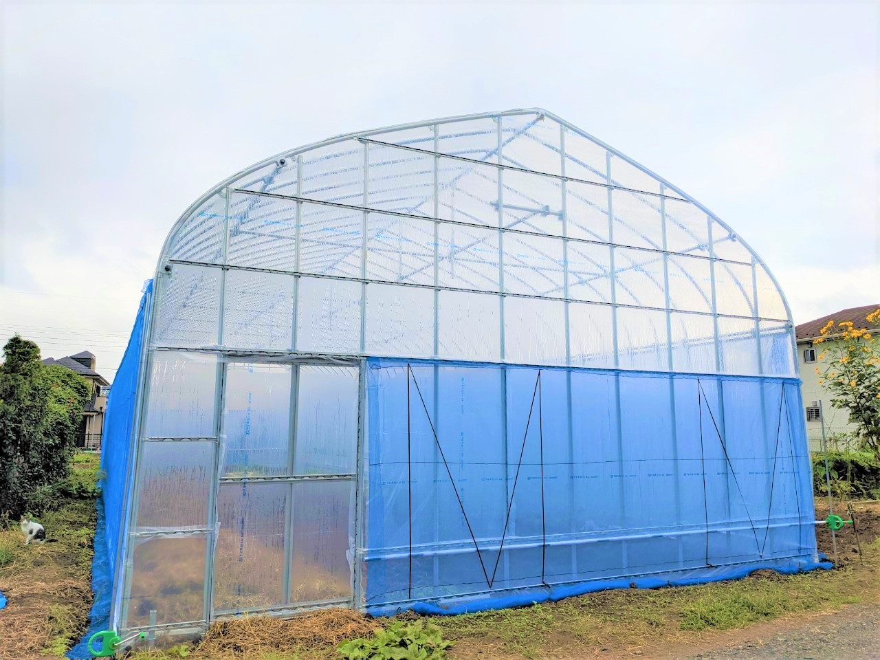 【温室】4間パイプハウス（48坪）)|東京都の施工実績