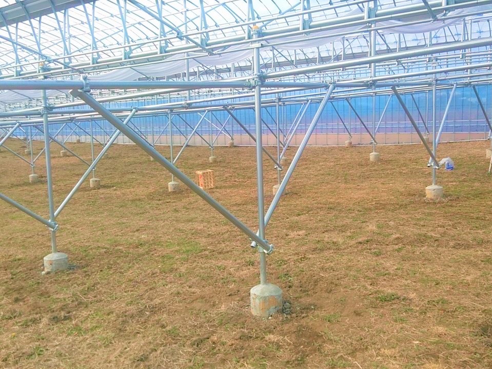 【ぶどう】雨よけ加温ハウス(218坪)|茨城県の施工実績