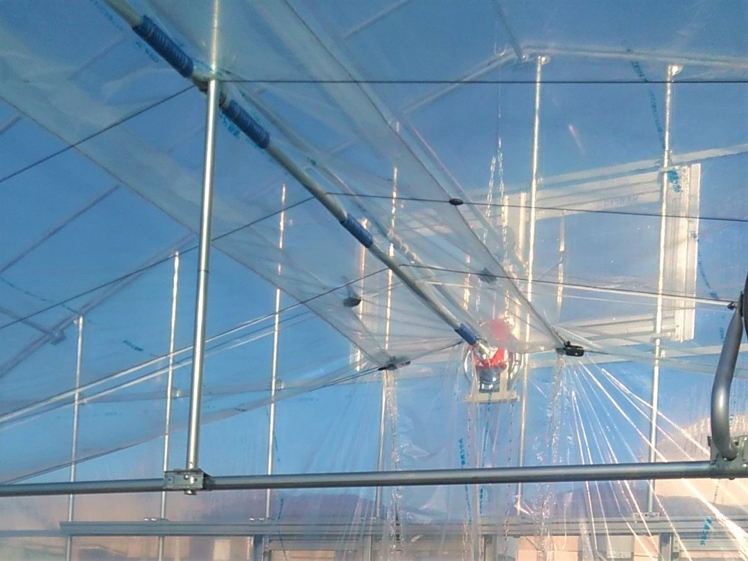 【手動カーテン】多肉植物用パイプハウス(31坪)|埼玉県の施工実績