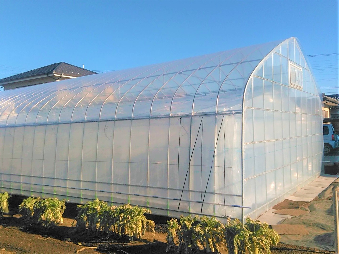 【手動カーテン】多肉植物用パイプハウス(31坪)|埼玉県の施工実績