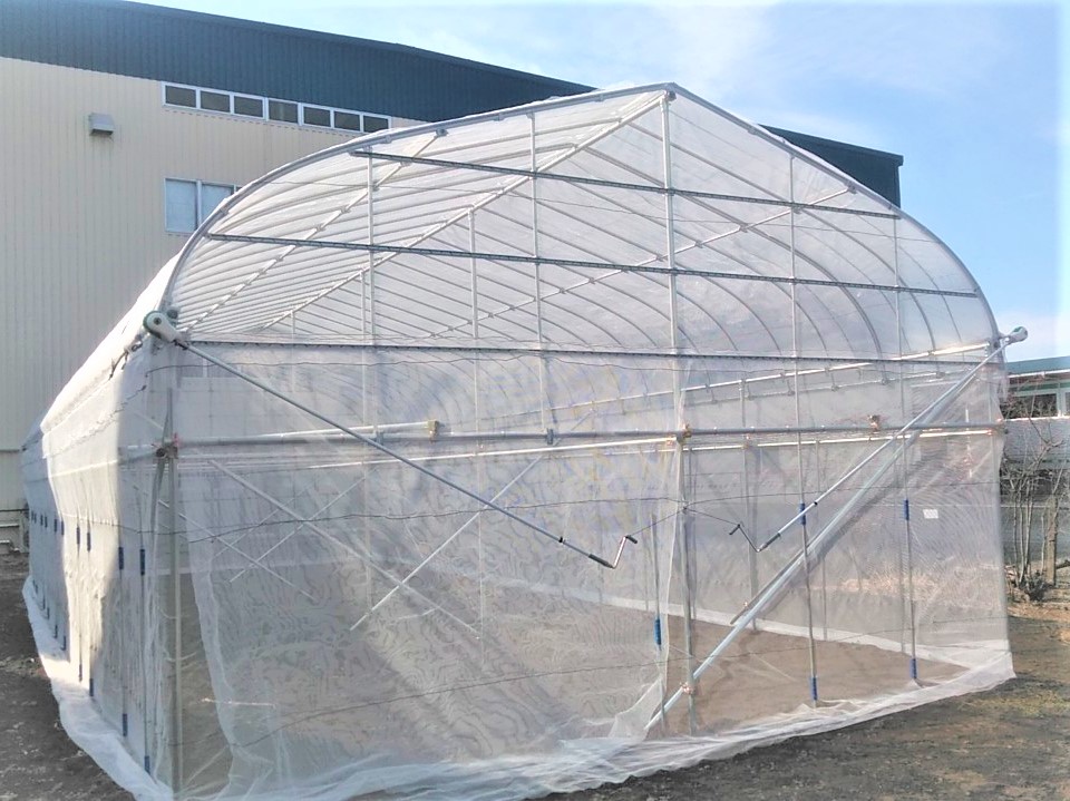 【小型】ぶどう用雨よけハウス(190坪)|埼玉県の施工実績