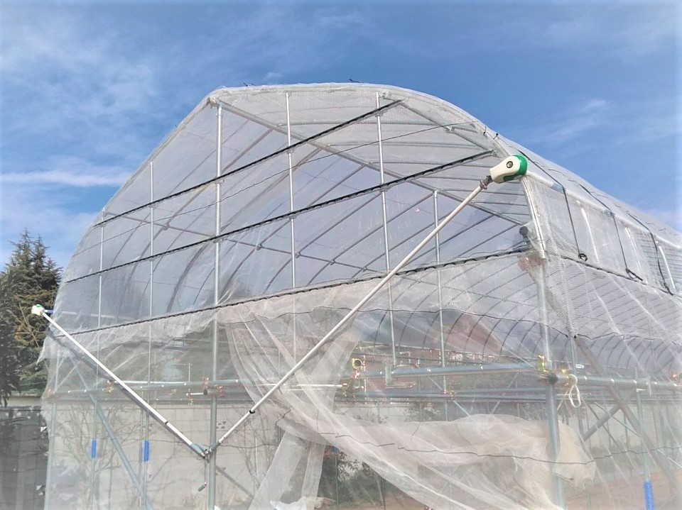 【小型】ぶどう用雨よけハウス(190坪)|埼玉県の施工実績