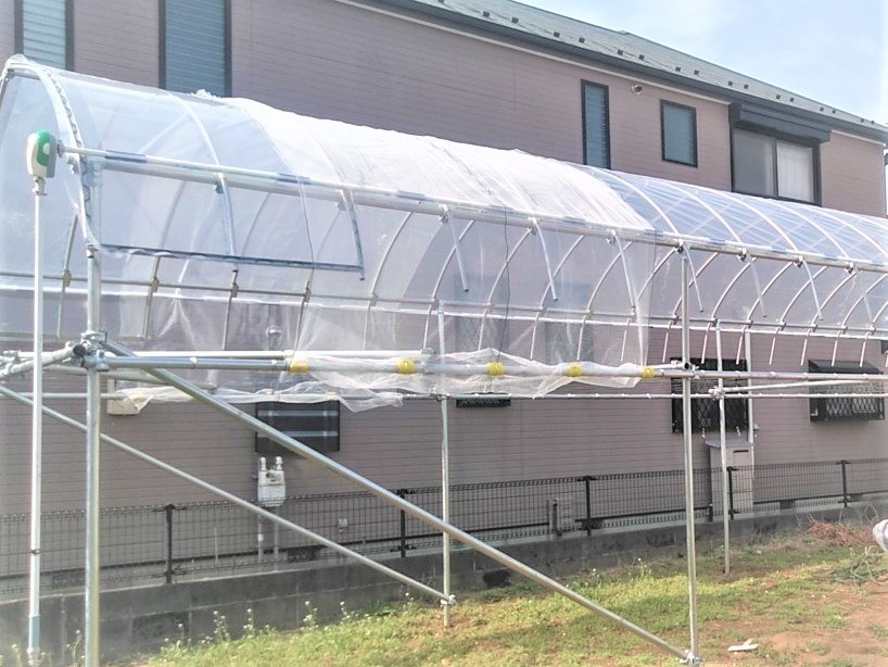 【小型】ぶどう棚雨よけハウス（11坪）|千葉県の施工実績