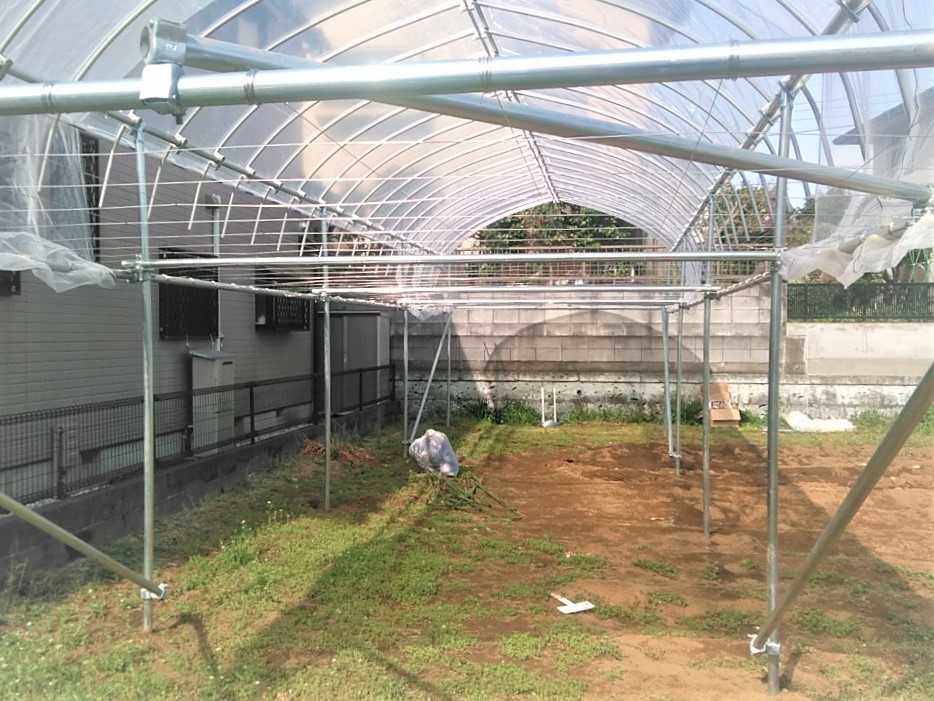 【小型】ぶどう棚雨よけハウス（11坪）|千葉県の施工実績