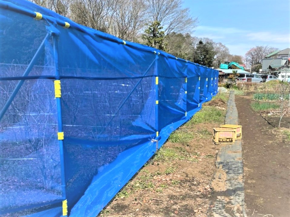 【防薬】ブルーベリー果樹棚（241坪）|東京都の施工実績
