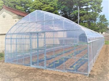 (株)共走|栃木県の施工実績|【温室】野菜用パイプハウス（33坪）の画像