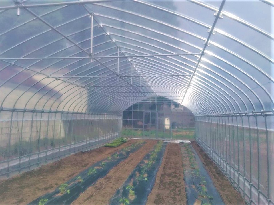【温室】野菜用パイプハウス（33坪）|栃木県の施工実績