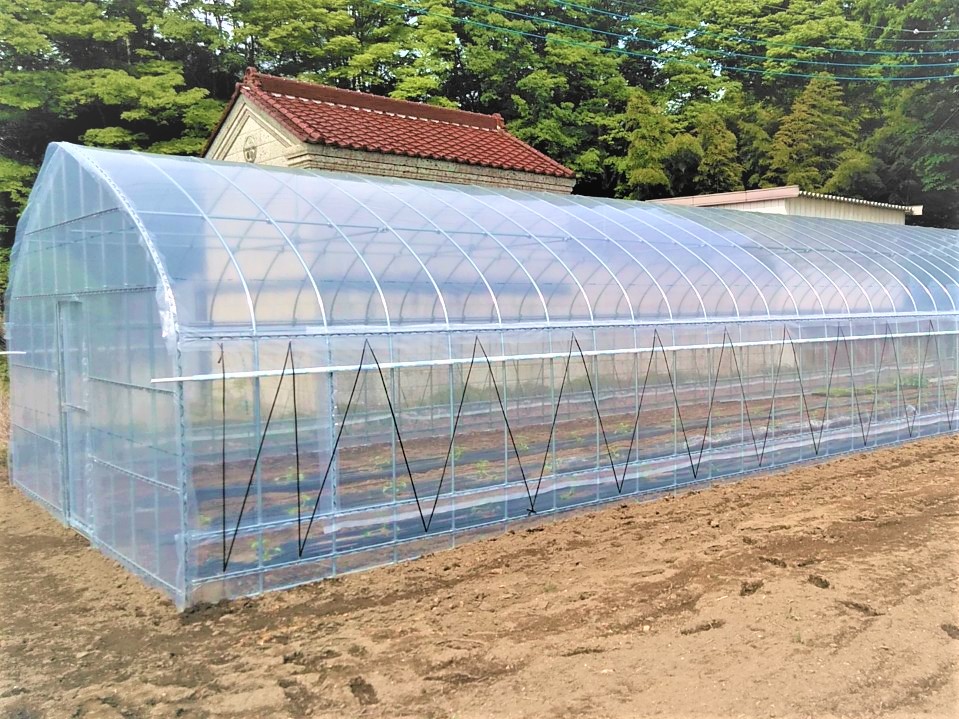 【温室】野菜用パイプハウス（33坪）|栃木県の施工実績