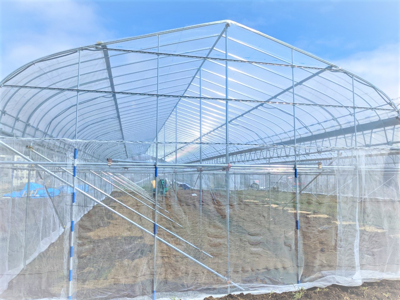 【ぶどう】棚雨よけハウス（216.4坪）|東京都の施工実績