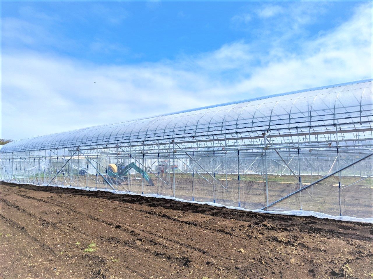【ぶどう】棚雨よけハウス（216.4坪）|東京都の施工実績