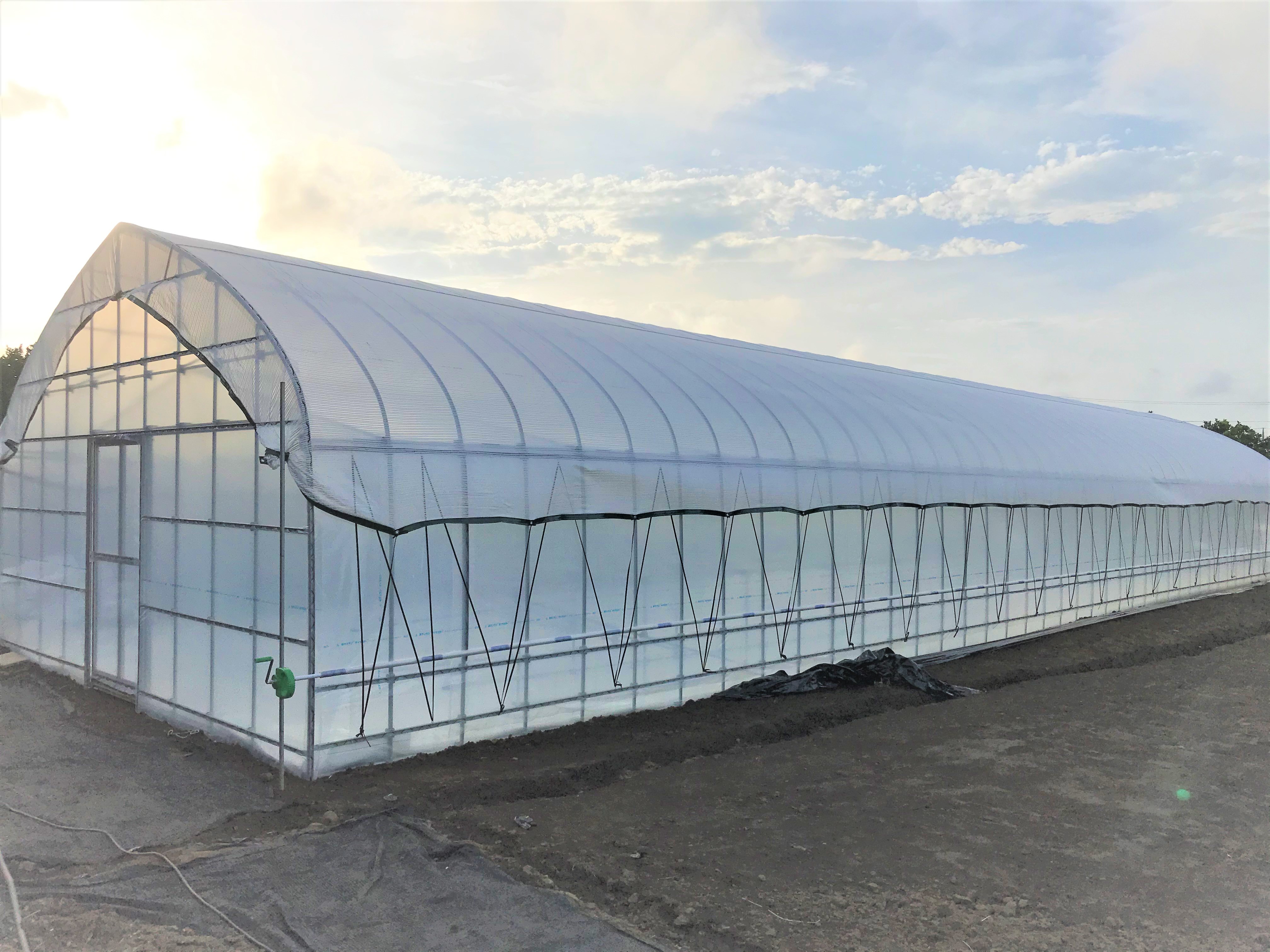 【栽培ベンチ】多肉植物用ビニールハウス（36坪）|千葉県の施工実績
