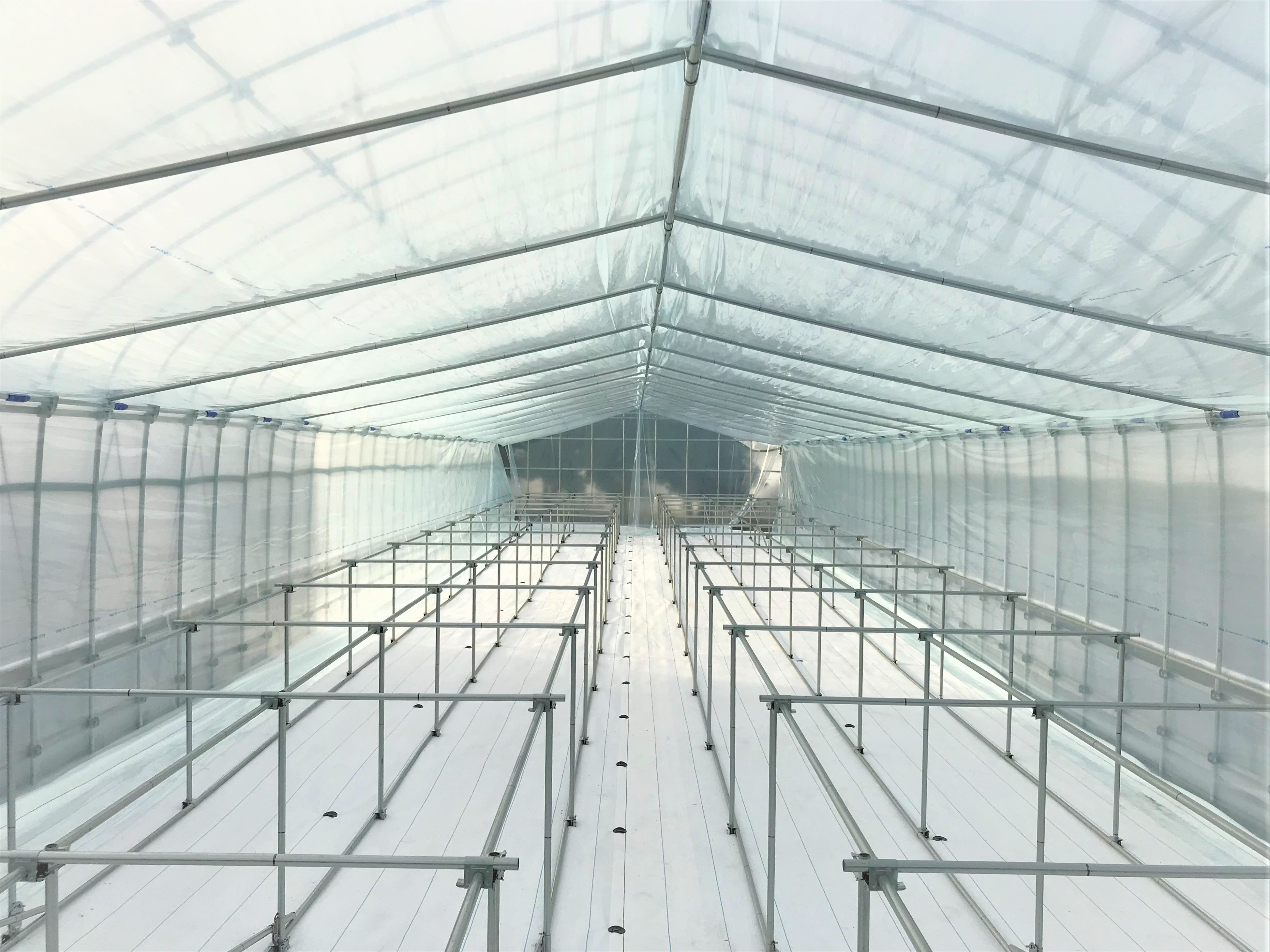 【栽培ベンチ】多肉植物用ビニールハウス（36坪）|千葉県の施工実績