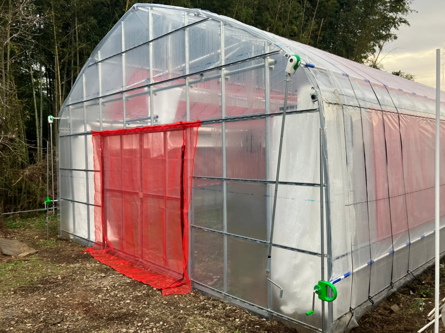 【園芸温室】多肉植物用パイプハウス（40坪）|埼玉県の施工実績