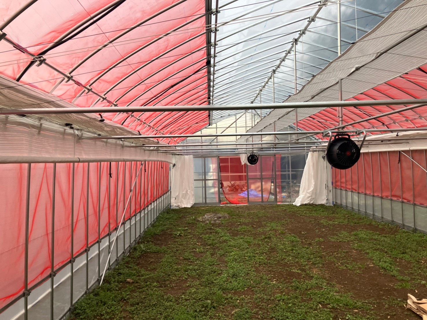 【園芸温室】多肉植物用パイプハウス（40坪）|埼玉県の施工実績
