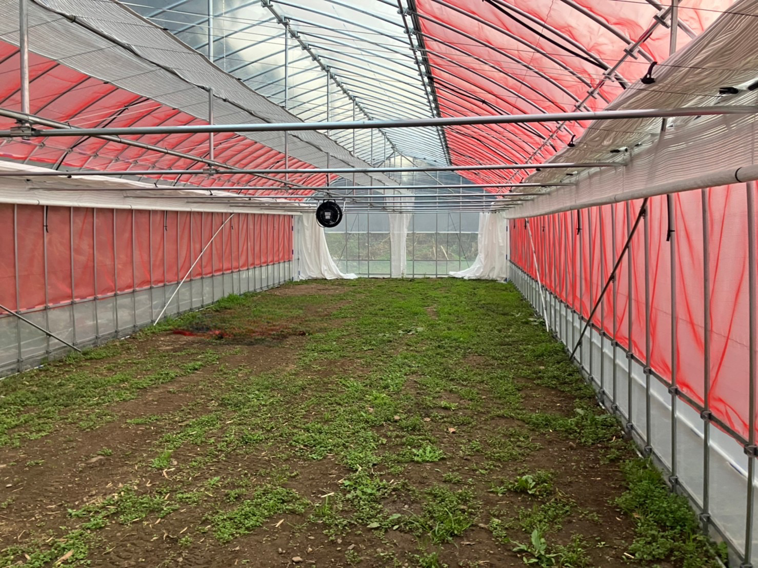 【園芸温室】多肉植物用パイプハウス（40坪）|埼玉県の施工実績