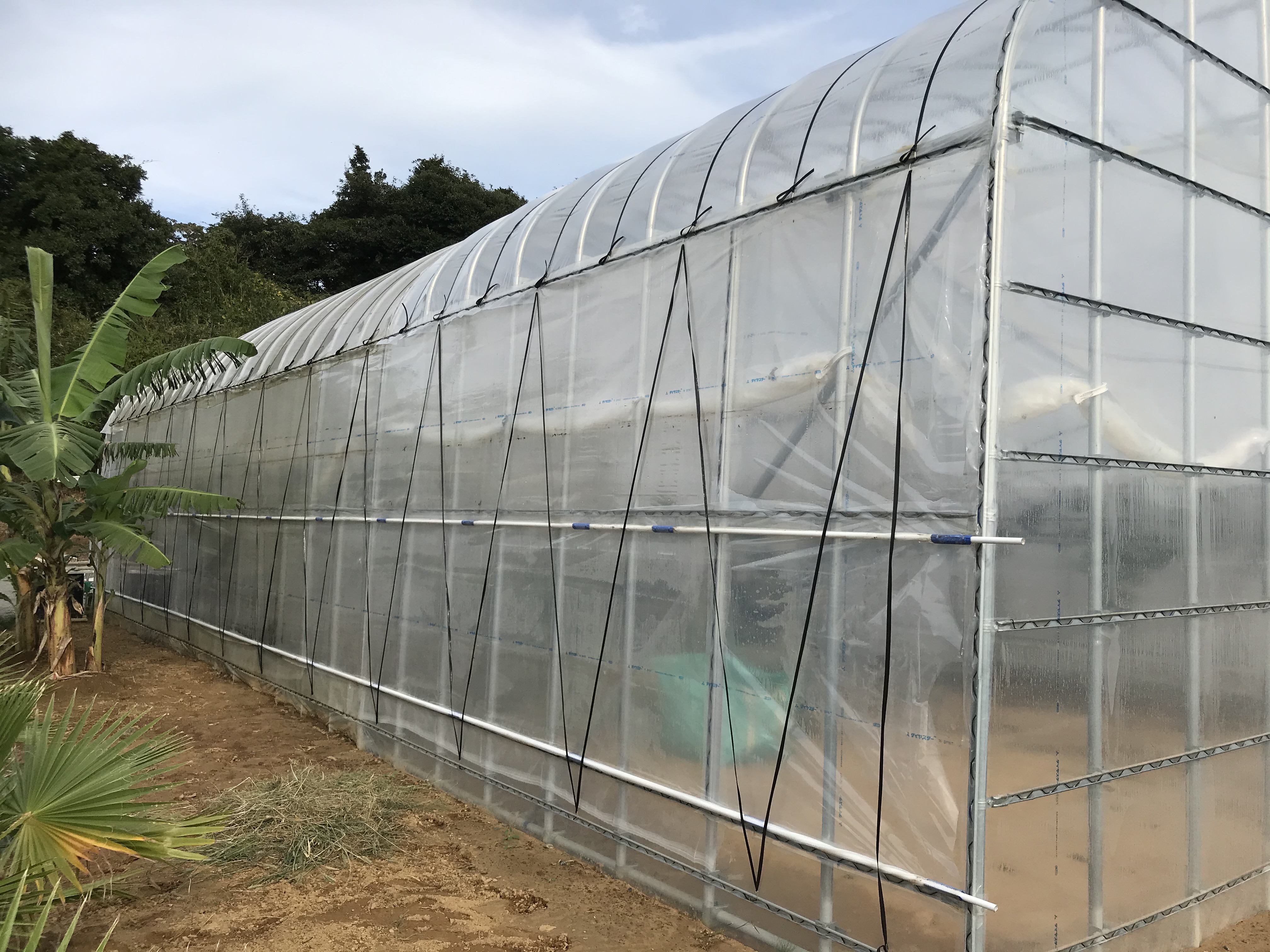 【温室】多品目用パイプハウス(29坪)|茨城県の施工実績