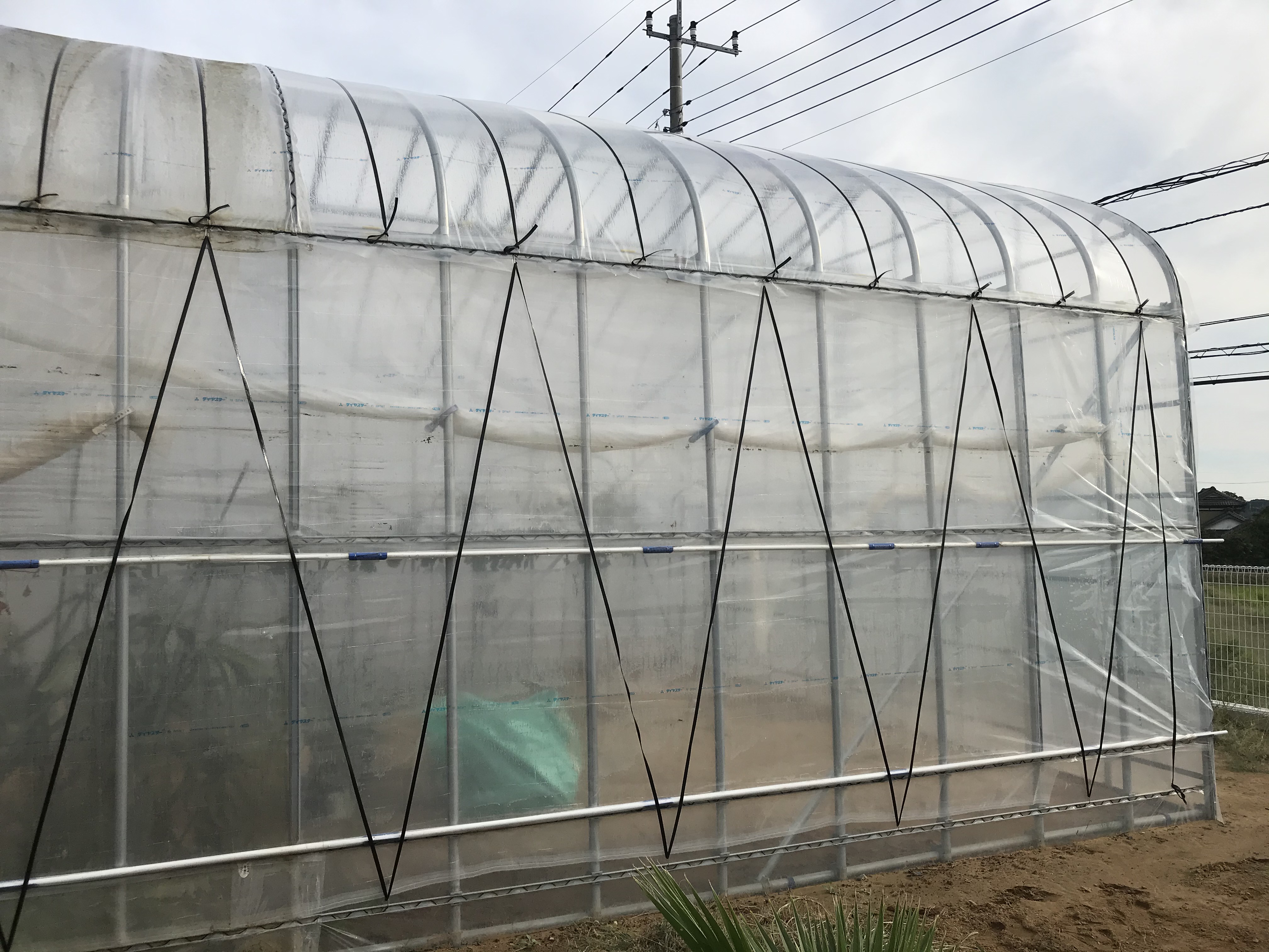 【温室】多品目用パイプハウス(29坪)|茨城県の施工実績